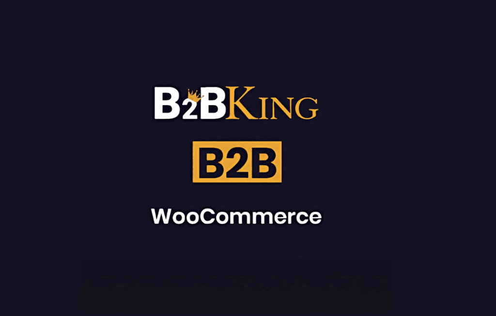 Download B2BKing