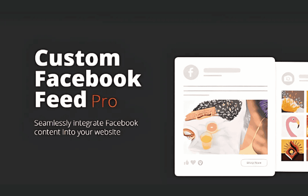 Download Custom Facebook Feed Pro