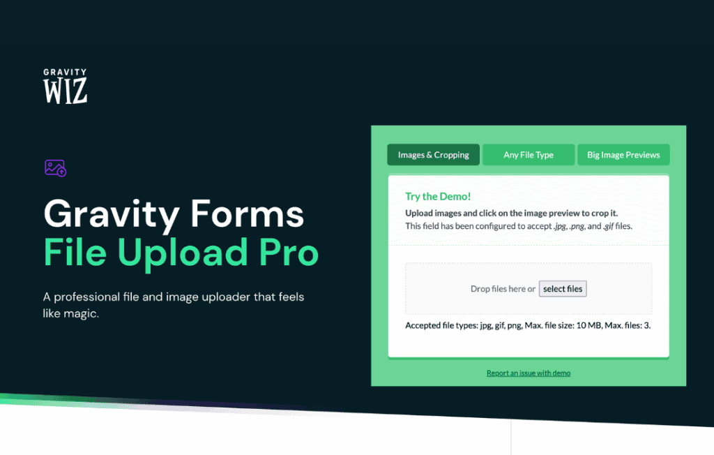 Download Gravity Forms File Upload Pro