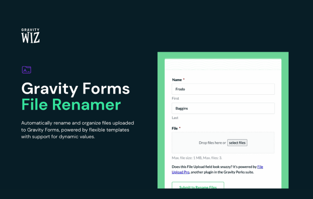 Download Gravity Forms File Renamer
