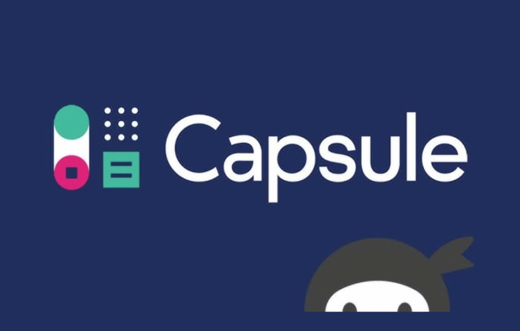 Download Ninja Forms Capsule CRM