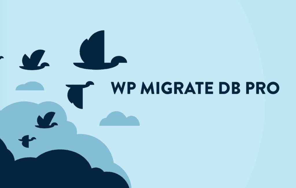 Download WP Migrate Pro
