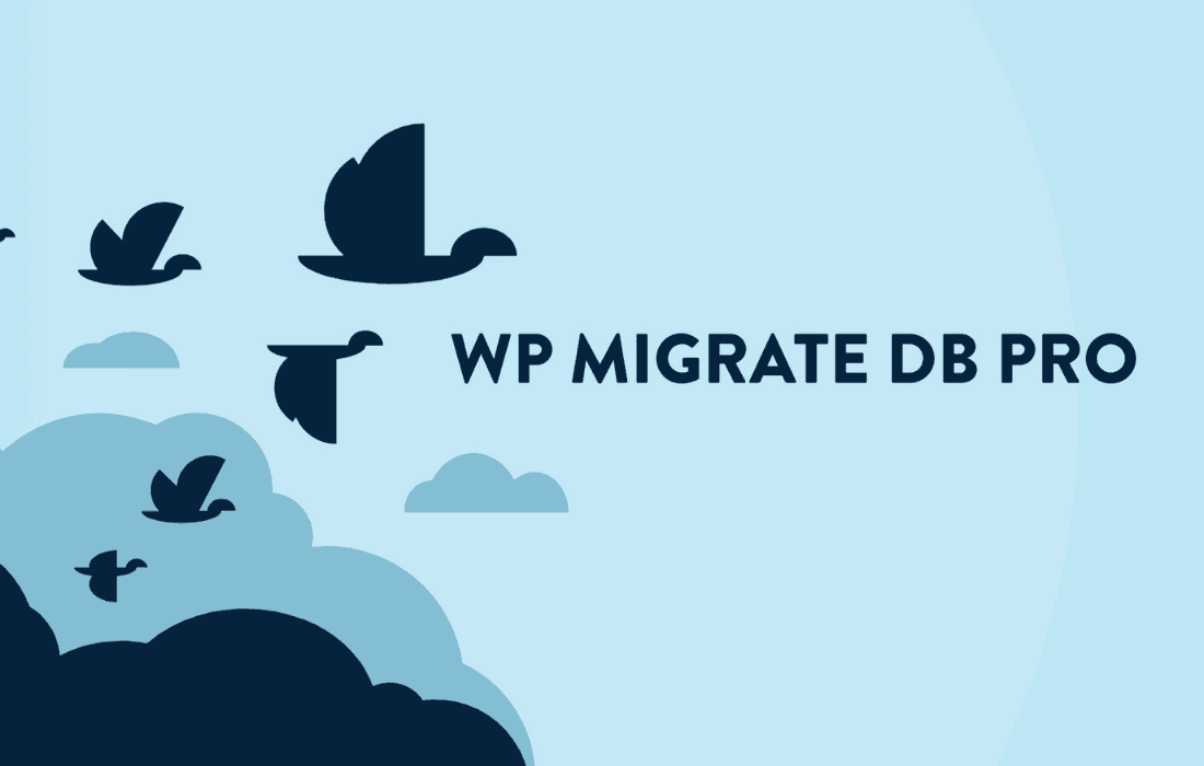 Download WP Migrate Pro