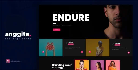 Download Anggita - One Page Portfolio Theme GPL WordPress Plugin