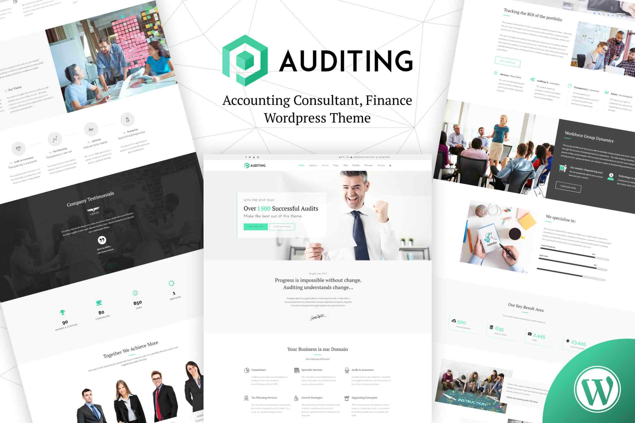 Auditing | Accounting Consultant