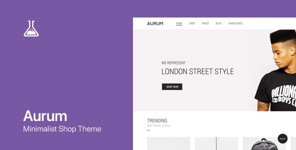 Download Aurum - Minimalist Shopping Theme GPL WordPress Plugin