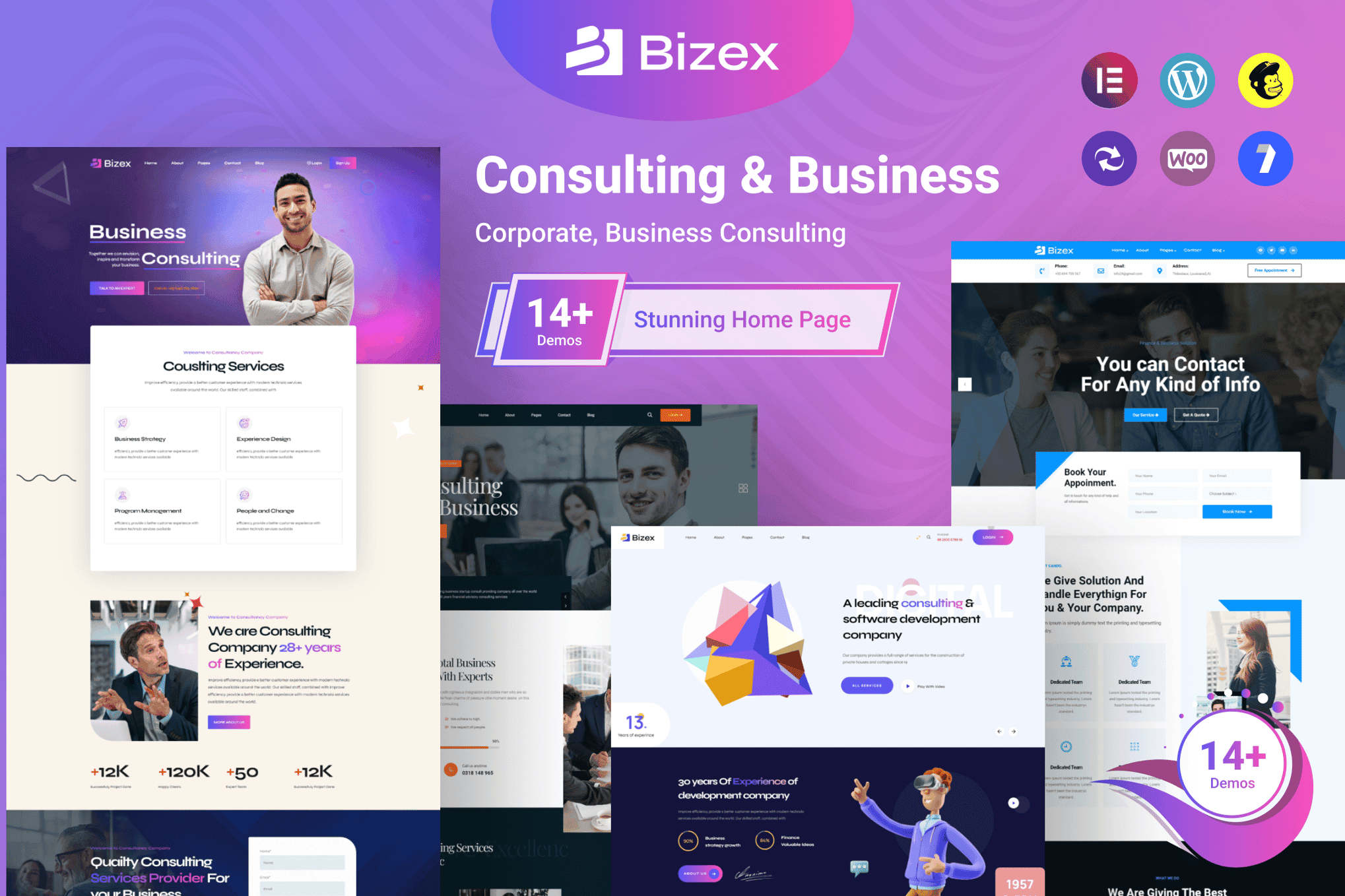 Download Bizex - Business Consulting WordPress Theme GPL WordPress Plugin