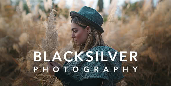 Download Blacksilver | Photography Theme for WordPress GPL WordPress Plugin