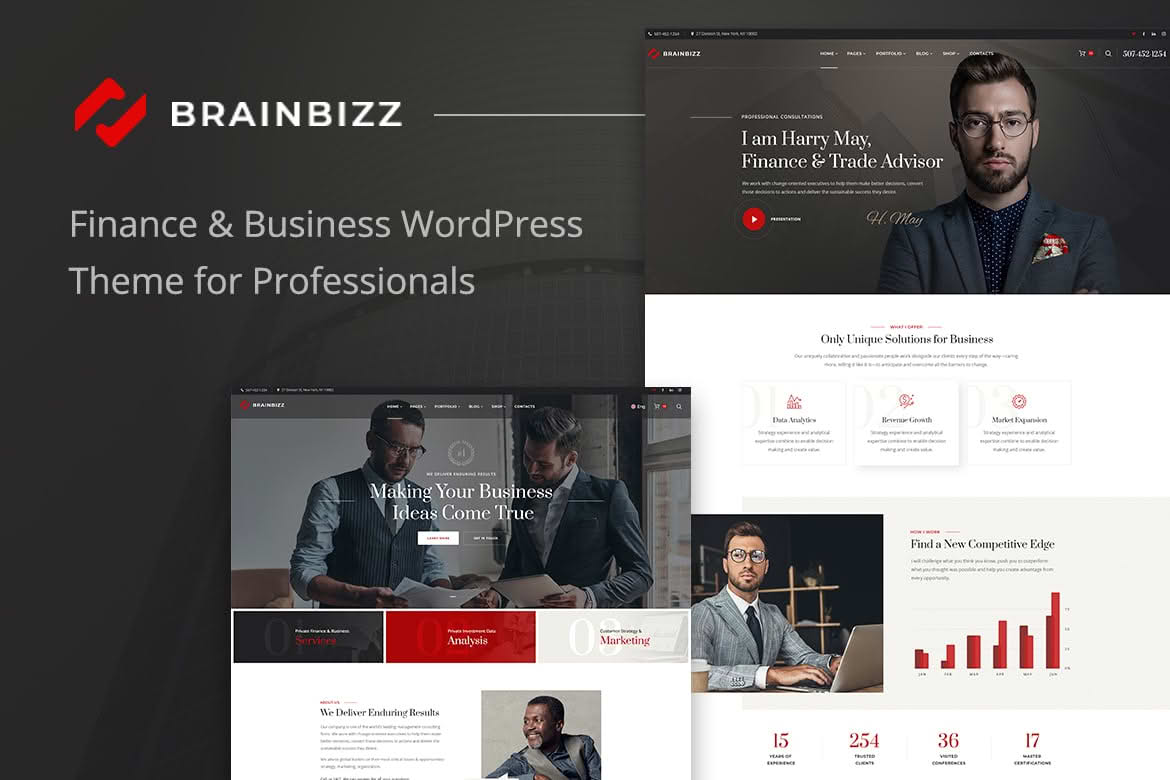 BrainBizz - Finance & Business WordPress Theme