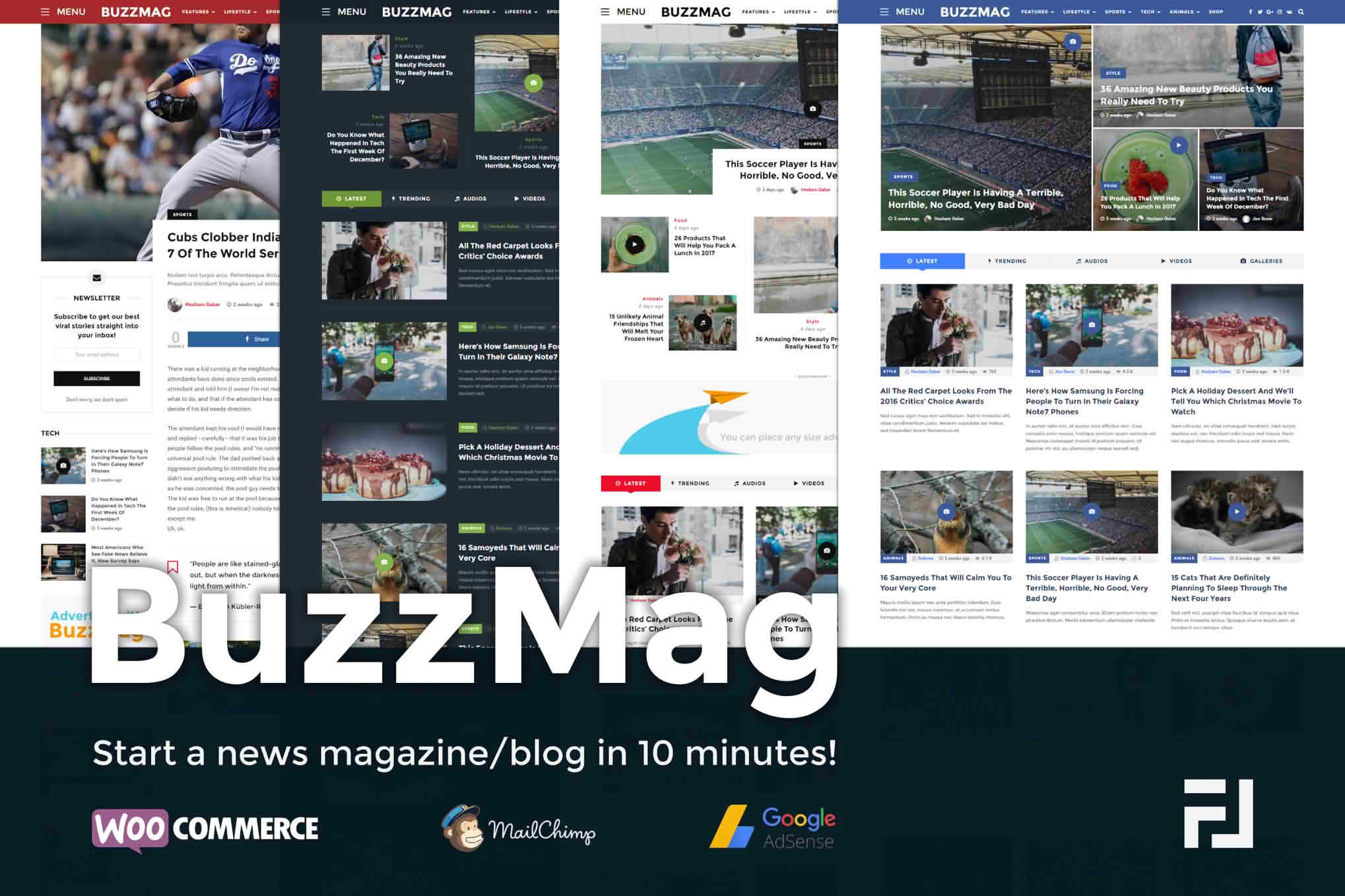 Download BuzzMag - Viral News WordPress Magazine/Blog Theme GPL WordPress Plugin