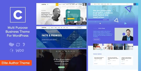 Download Capital - Multi Purpose Business WordPress Theme GPL WordPress Plugin