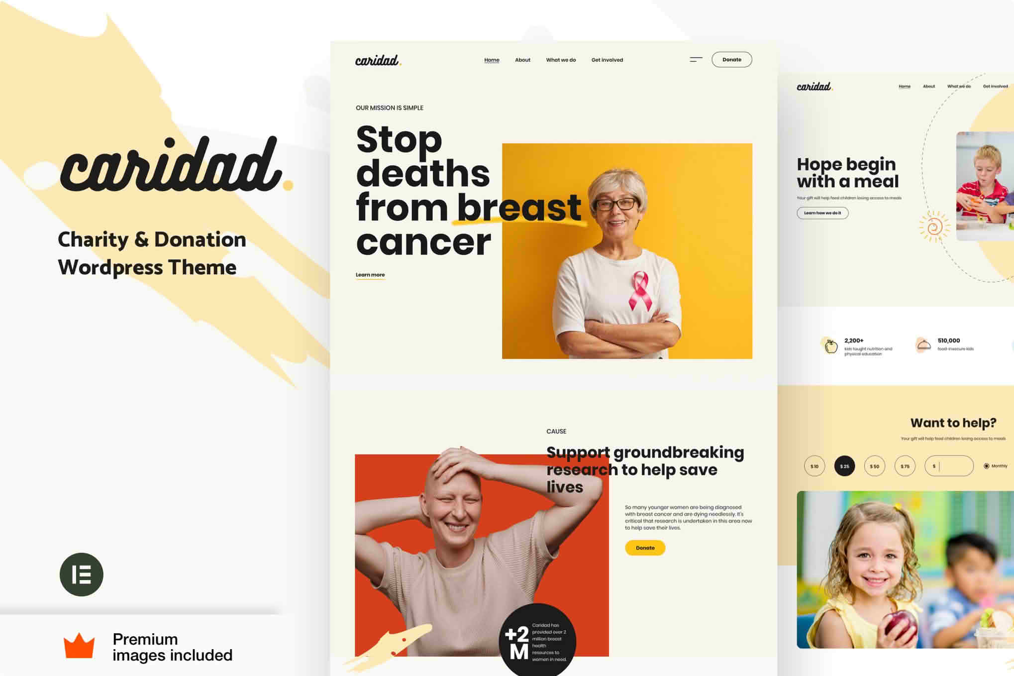 Download Caridad - Charity WordPress Theme GPL WordPress Plugin