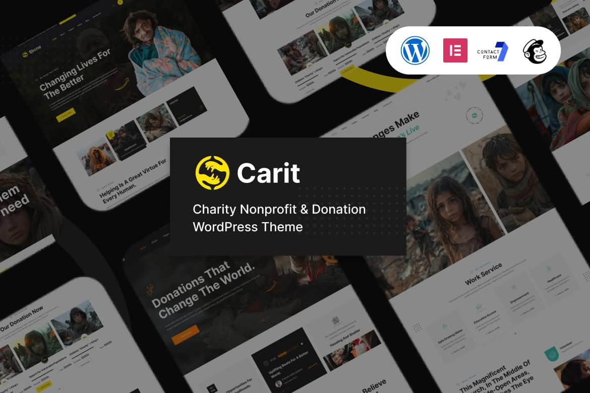 Carit Charity & Donation WordPress Theme