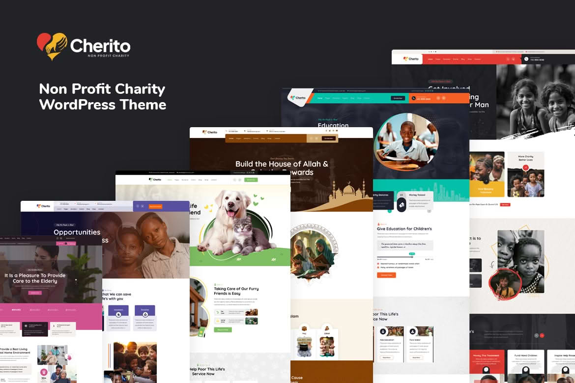 Cherito - Non Profit Charity WordPress Theme