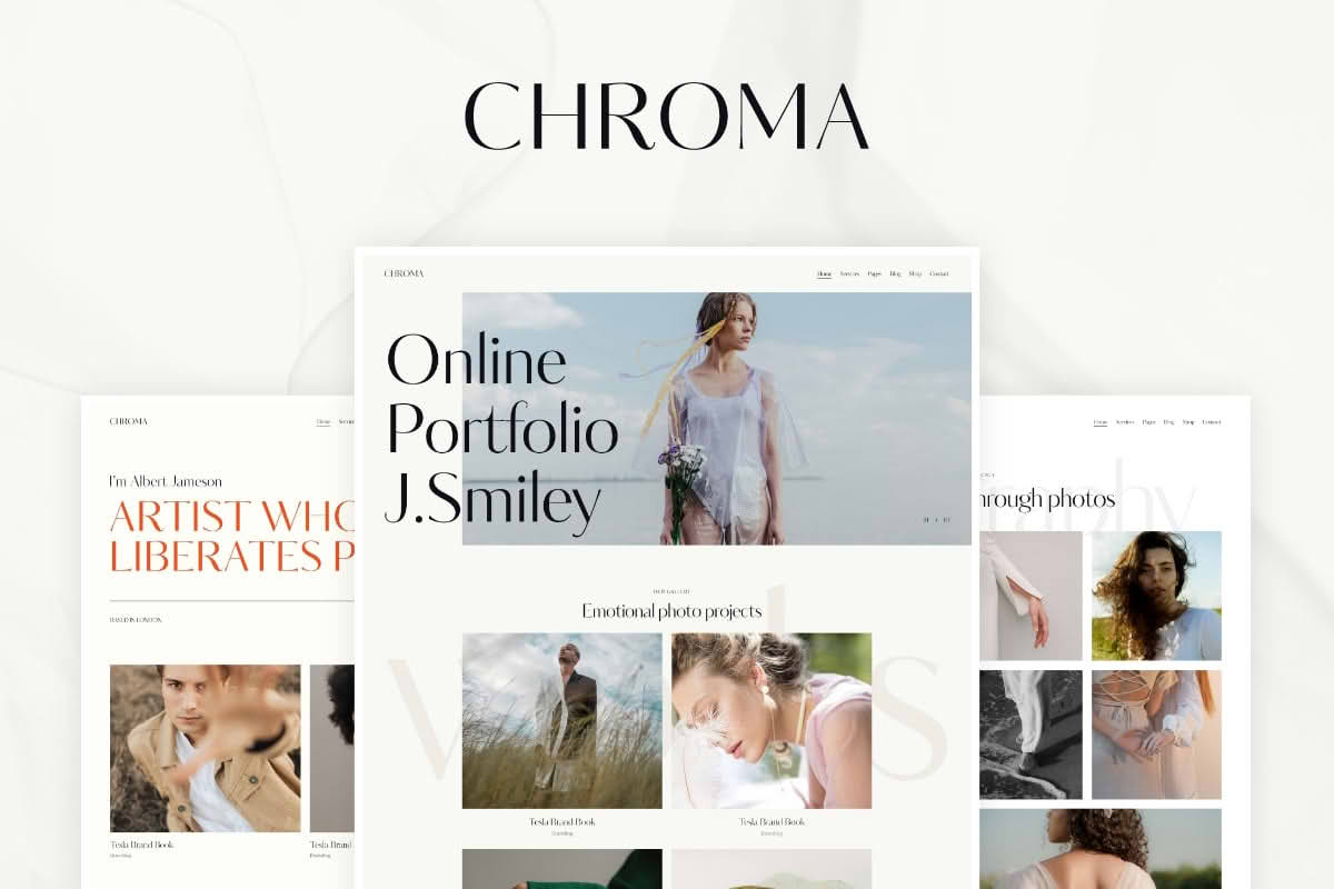 Download Chroma - Photography Portfolio WordPress Theme GPL WordPress Plugin