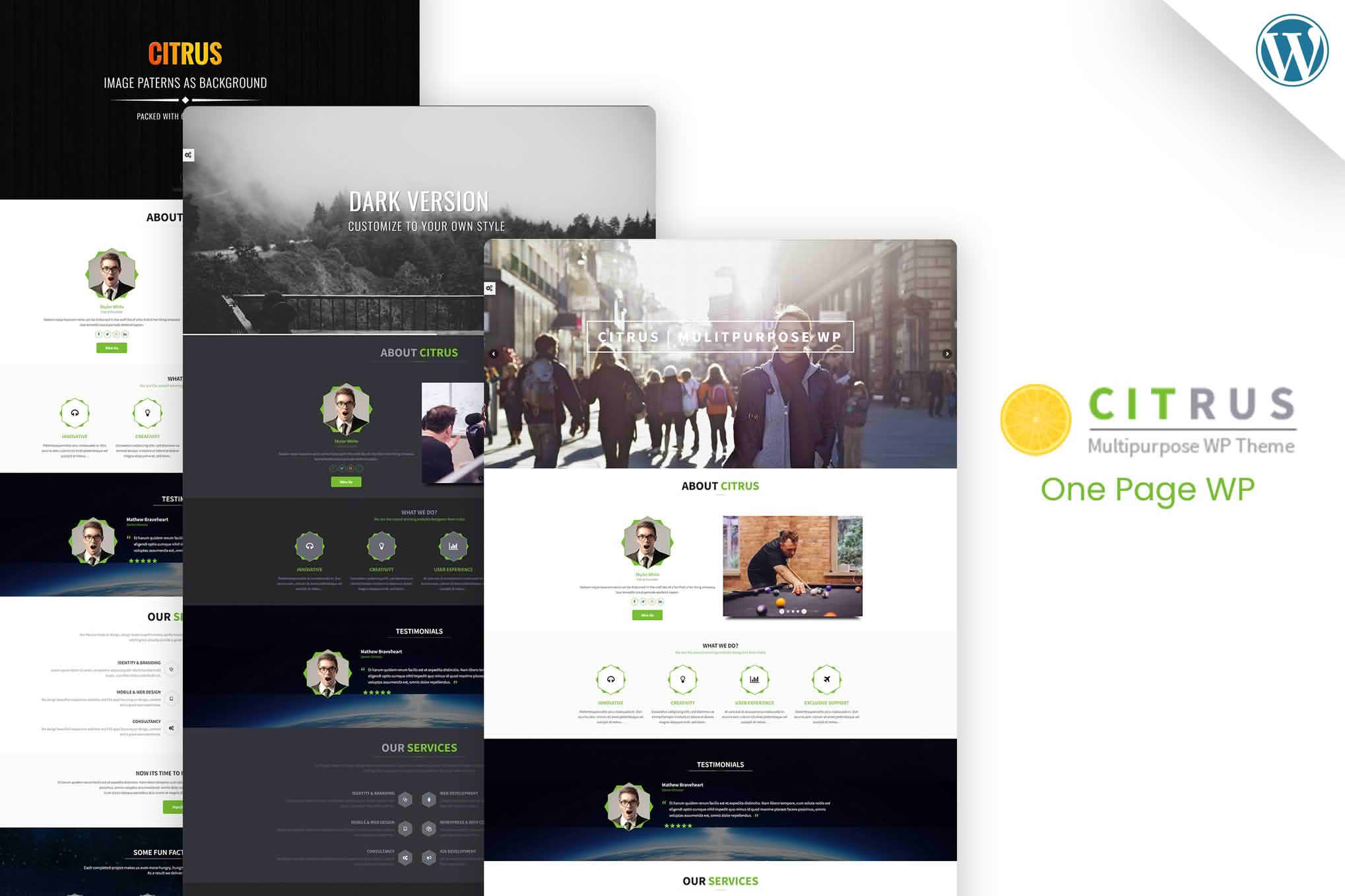 Download Citrus - One Page WordPress GPL WordPress Plugin