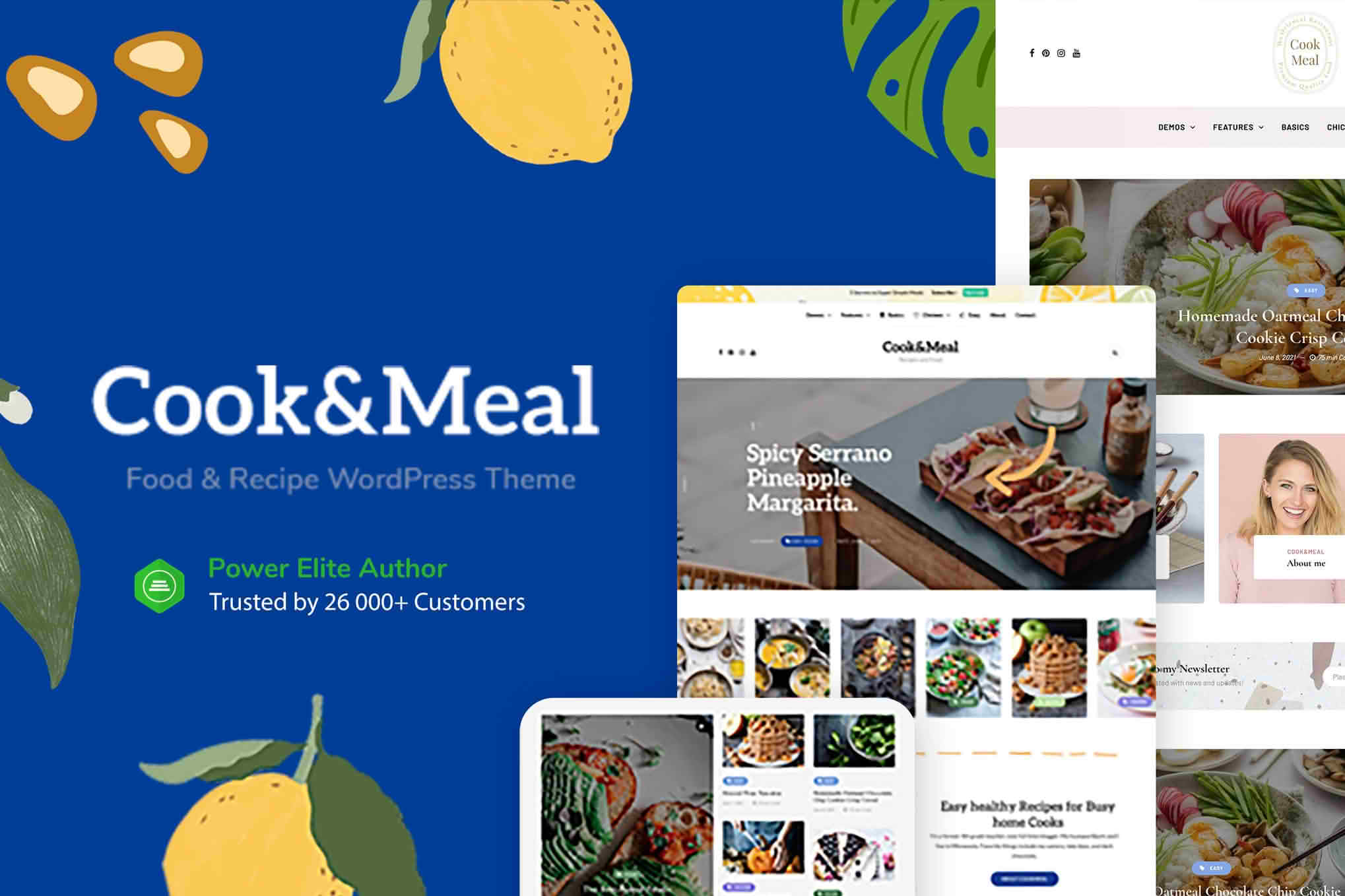 Download Cook&Meal - Food Blog & Recipe WordPress Theme GPL WordPress Plugin