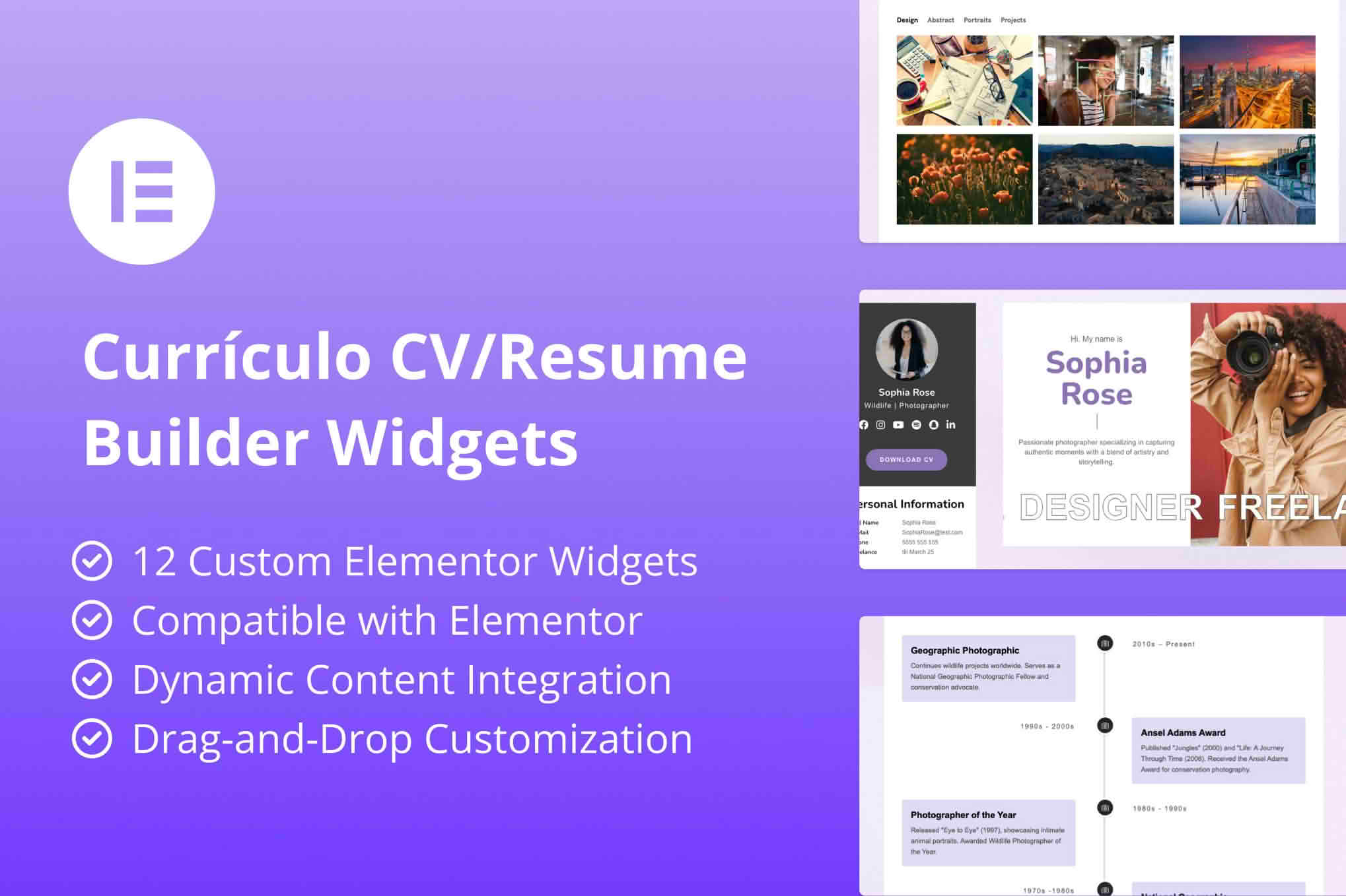 Download Curriculo - CV/Resume Builder Elementor Widgets