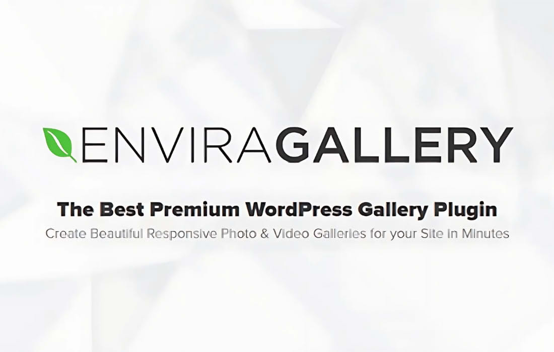 Envira Gallery - TikTok Addon