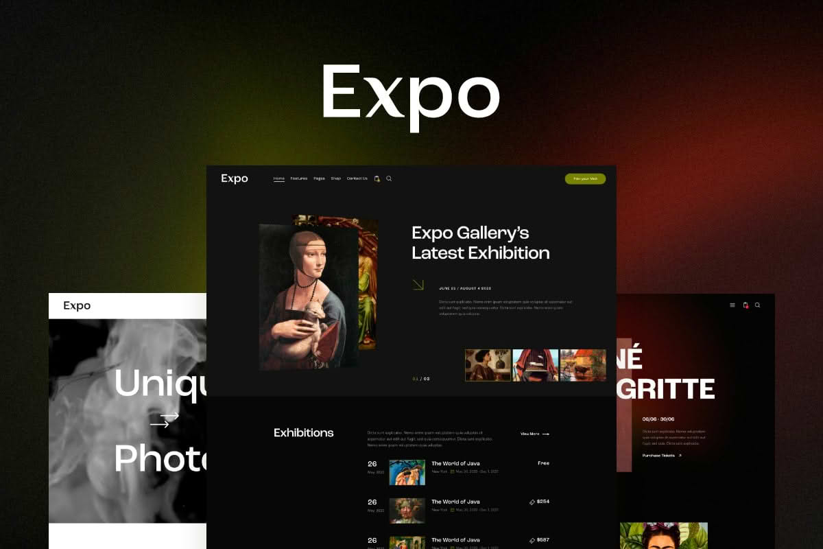 Download Expo - Art & Gallery WordPress Theme GPL WordPress Plugin