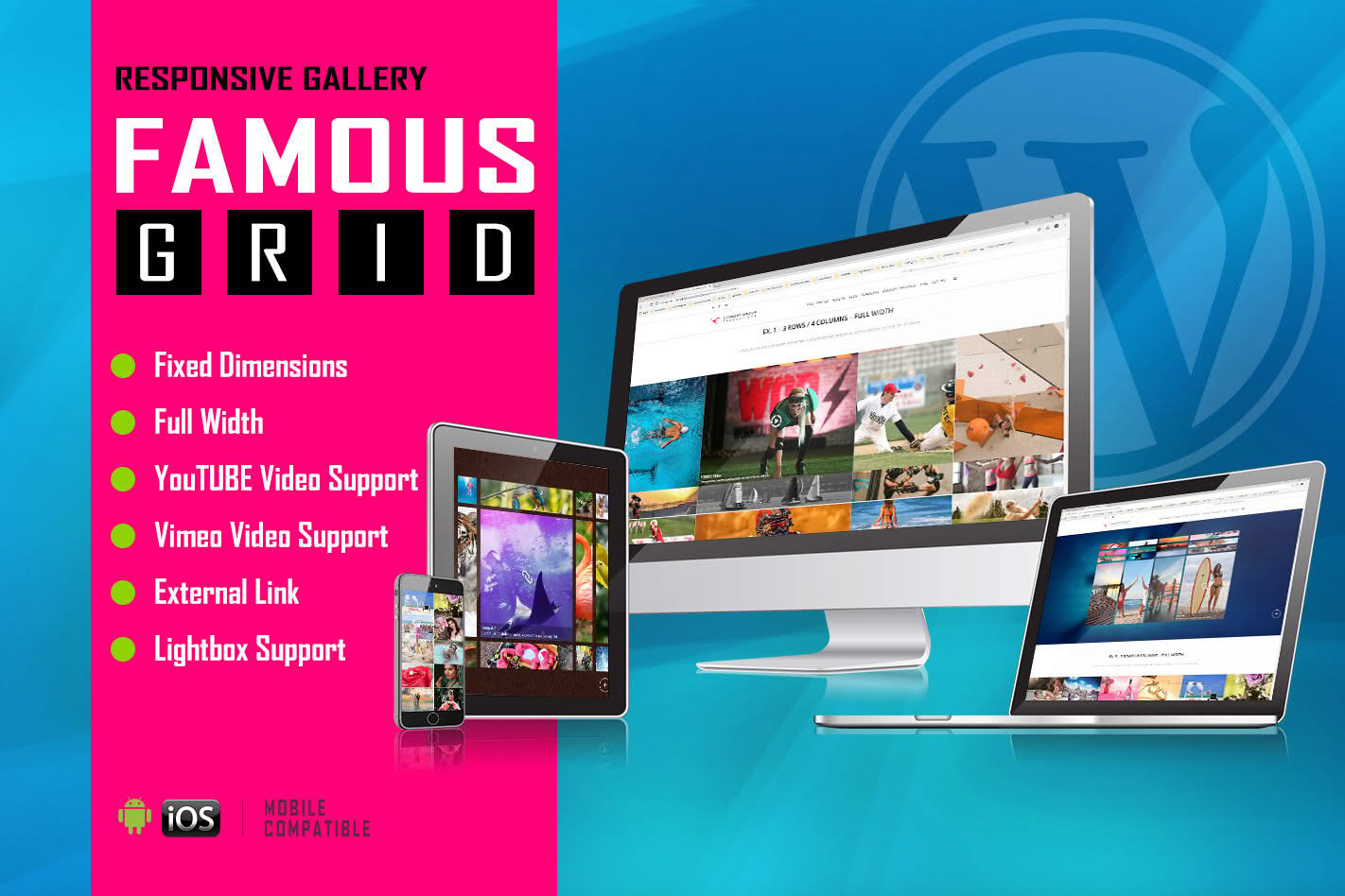 Download Famous - Responsive Image And Video Grid Gallery
