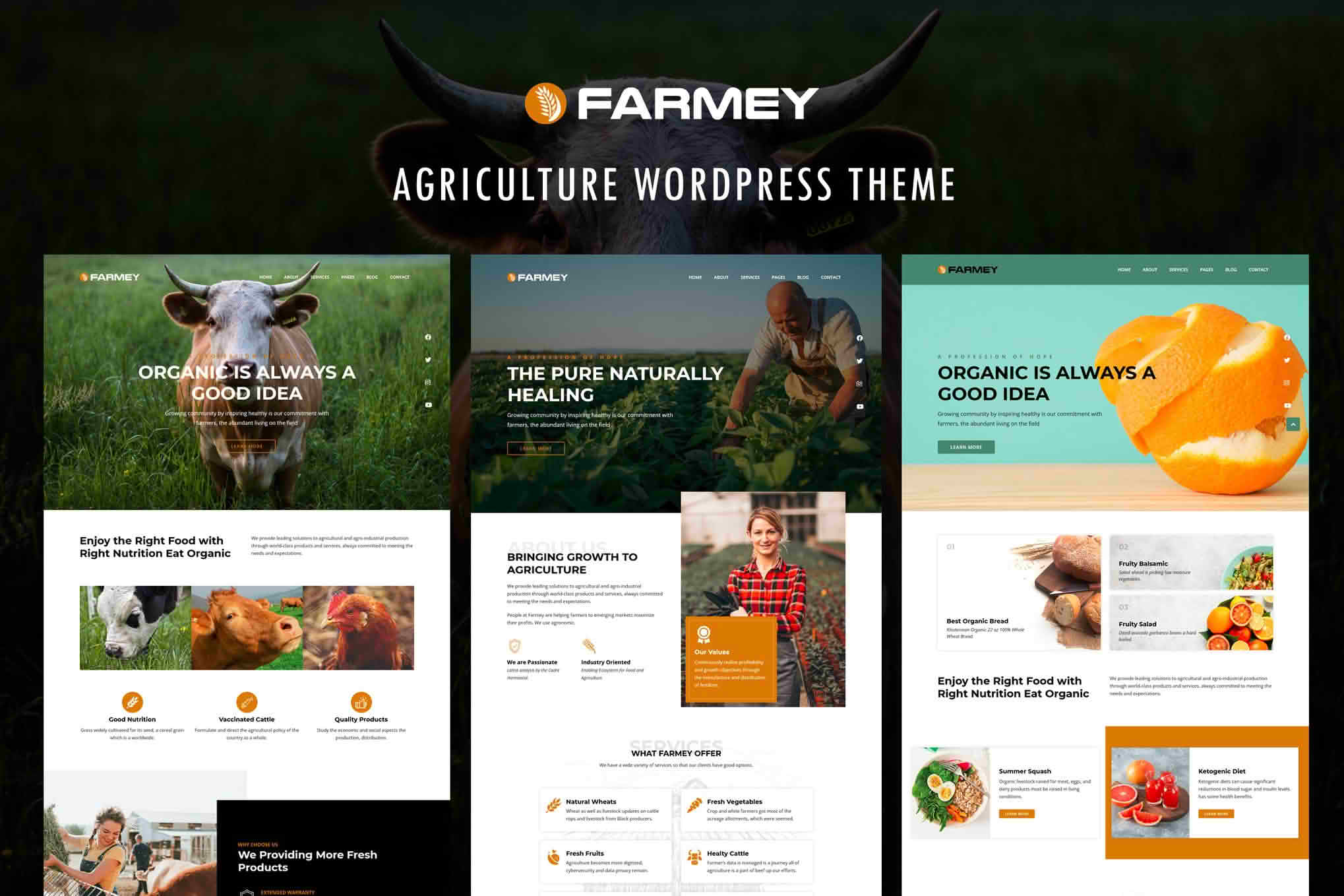 Download Farmey - Agriculture WordPress Theme GPL WordPress Plugin