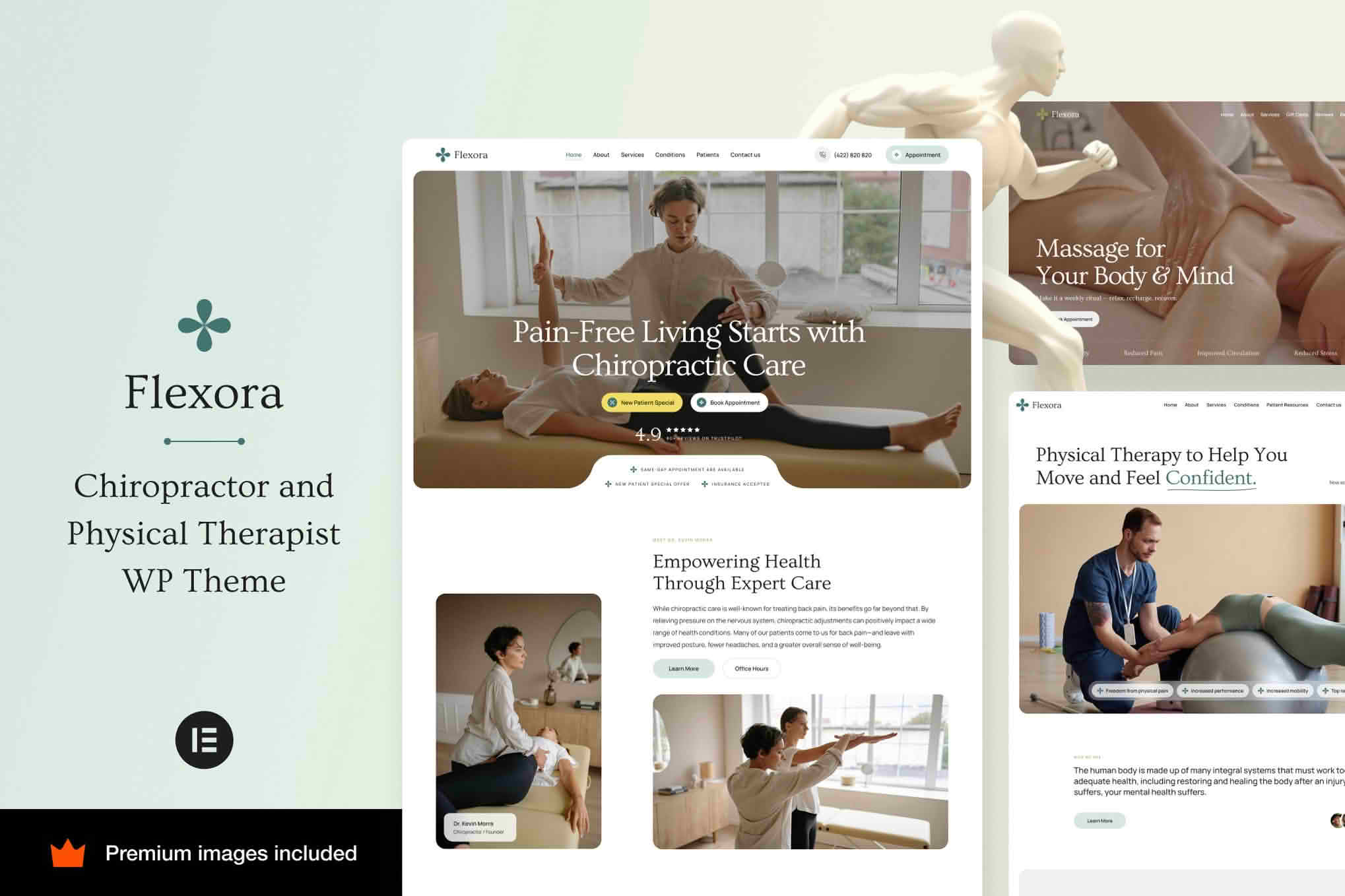 Download Flexora - Chiropractors and Physical Therapists GPL WordPress Plugin