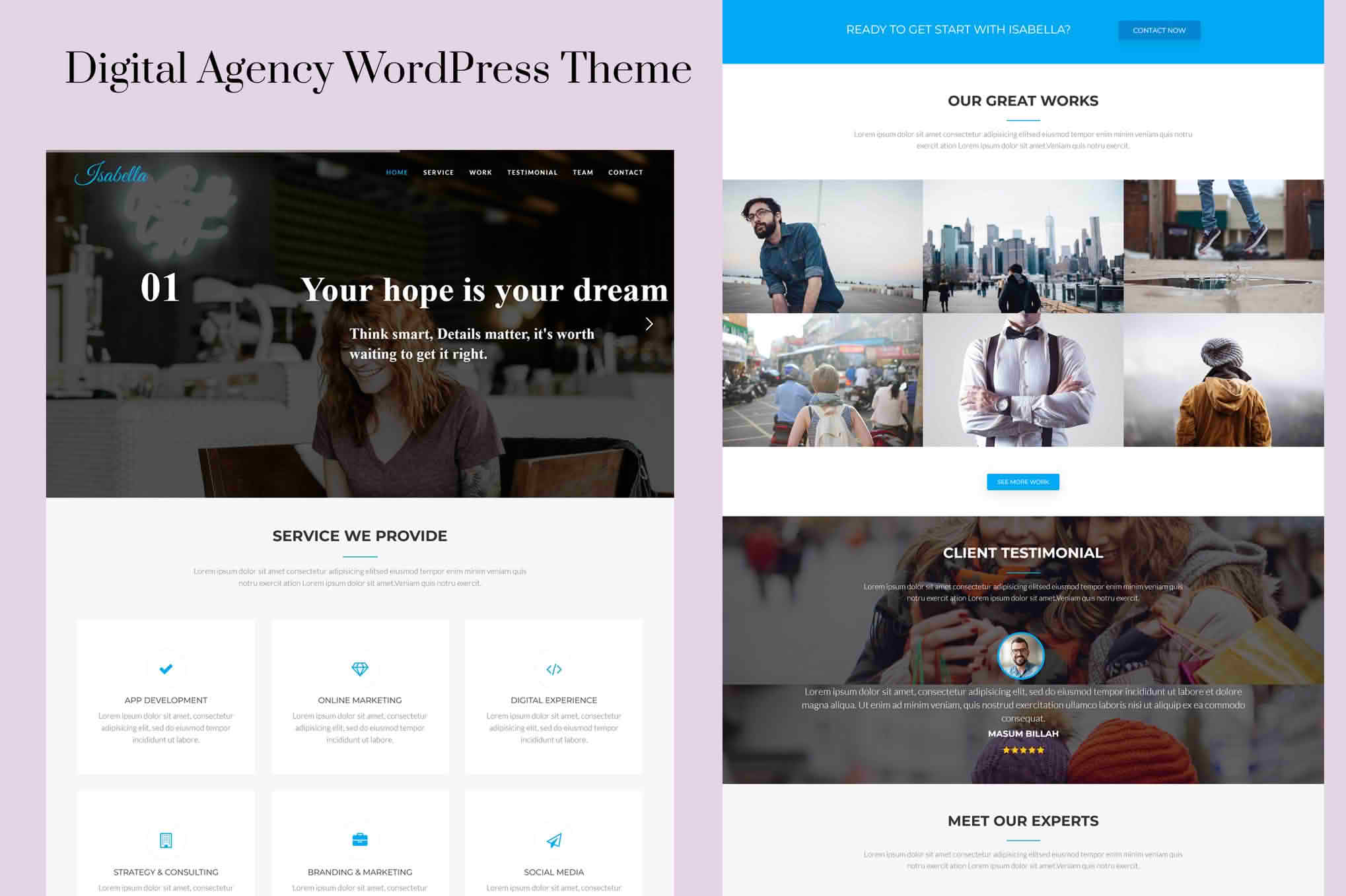 Download Isabella - Digital Marketing Agency WordPress Theme GPL WordPress Plugin