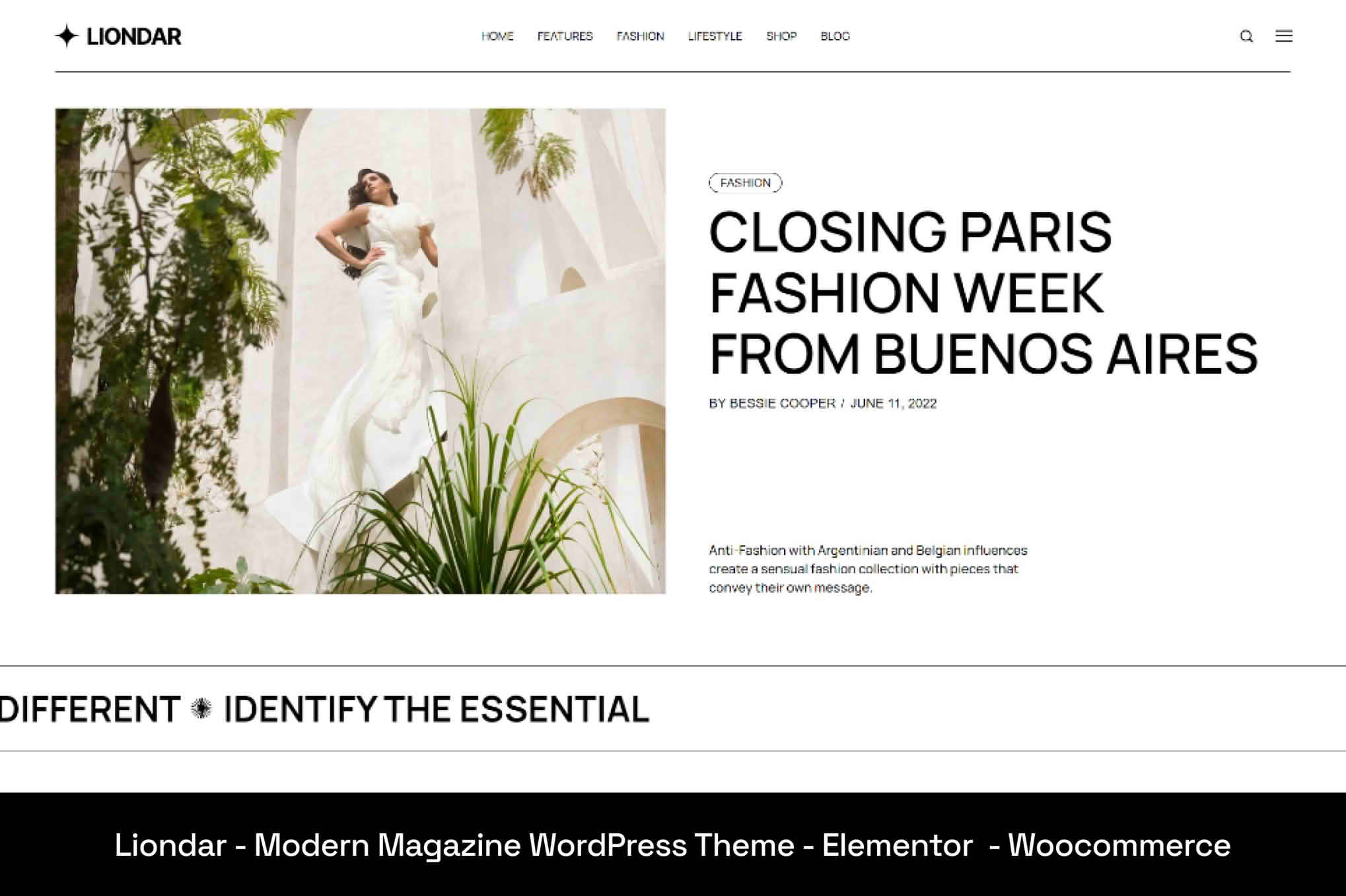 Download Liondar - Modern Magazine Theme GPL WordPress Plugin