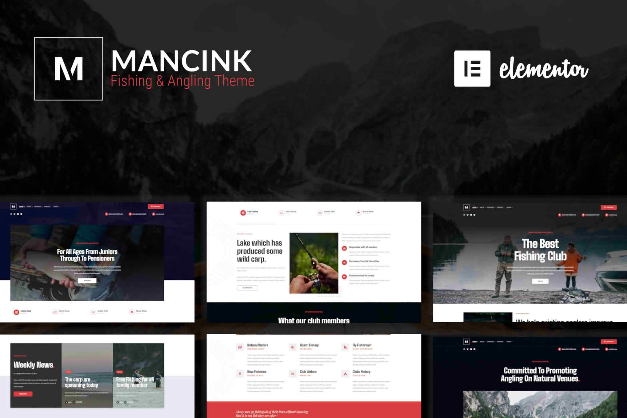 Download Mancink - Fishing & Angling Club WordPress Theme GPL WordPress Plugin