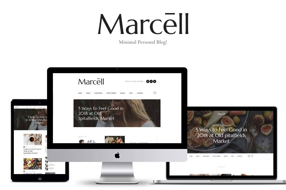 Download Marcell | 20+ Layouts Multi-Concept Personal Blog & Magazine WordPress Theme GPL WordPress Plugin