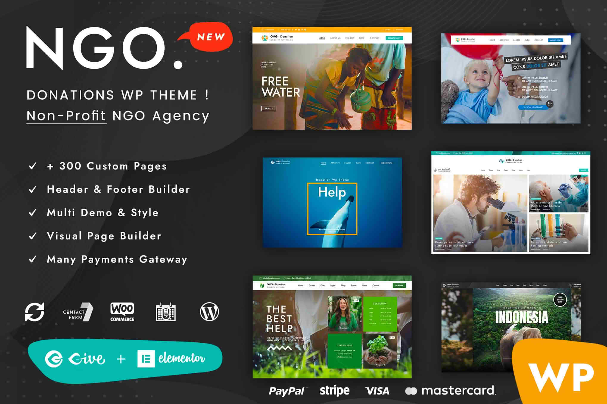 Download Ngo - Charity Donation WP GPL WordPress Plugin