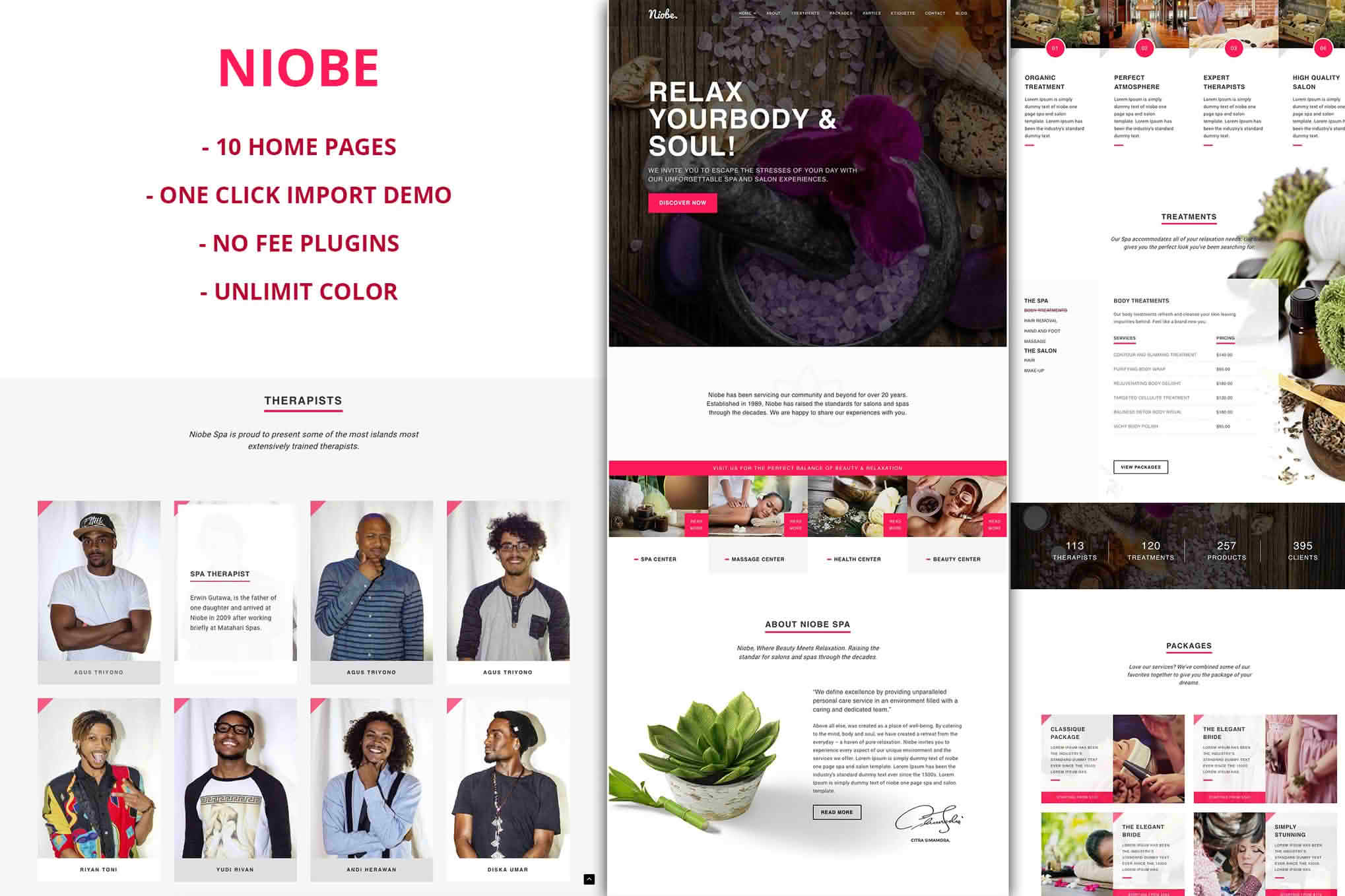 Download Niobe - Spa & Salon WordPress Theme GPL WordPress Plugin