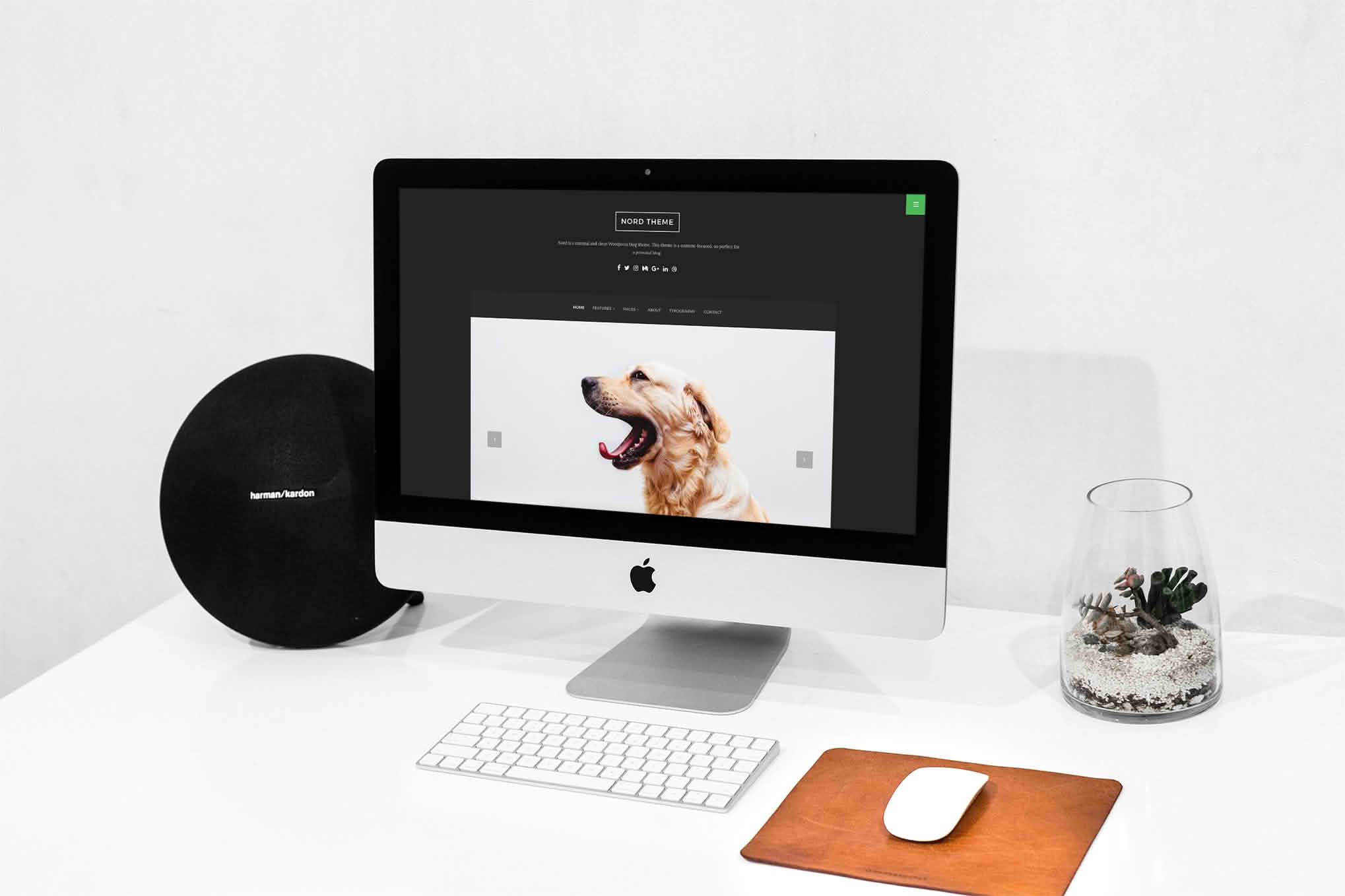 Download Nord - Minimal and Clean WordPress Personal Blog Theme GPL WordPress Plugin
