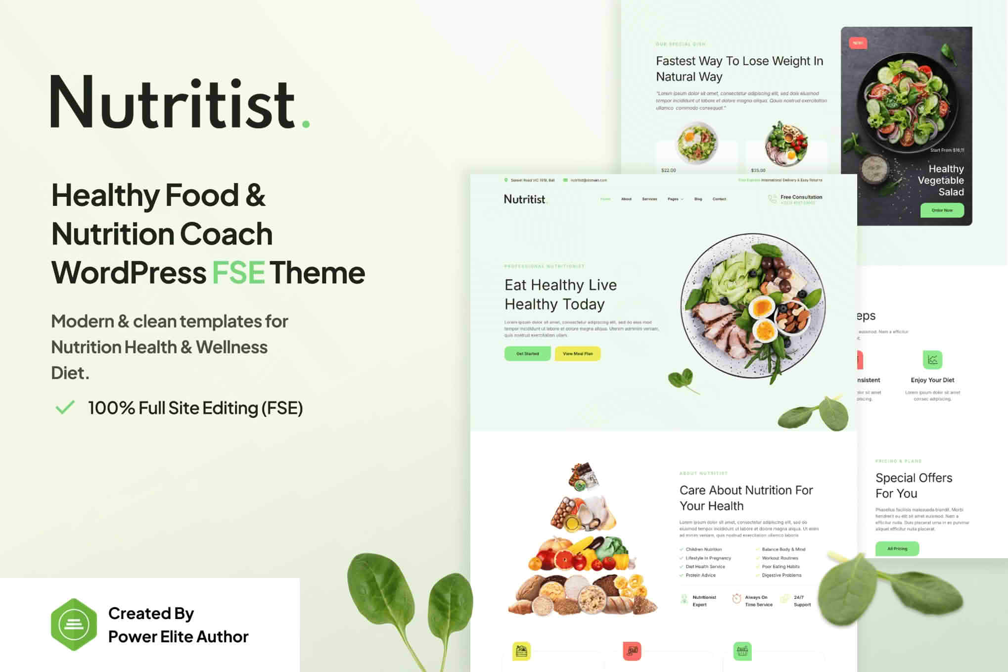 Download Nutritist – Healthy Food & Nutrition Coach FSE WordPress Theme GPL WordPress Plugin