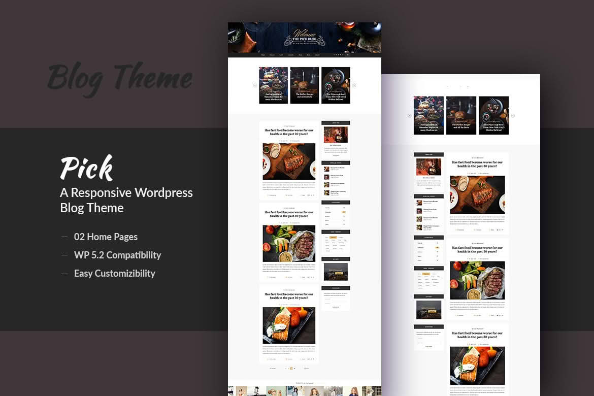 Download Pick - A Responsive WordPress Blog Theme GPL WordPress Plugin