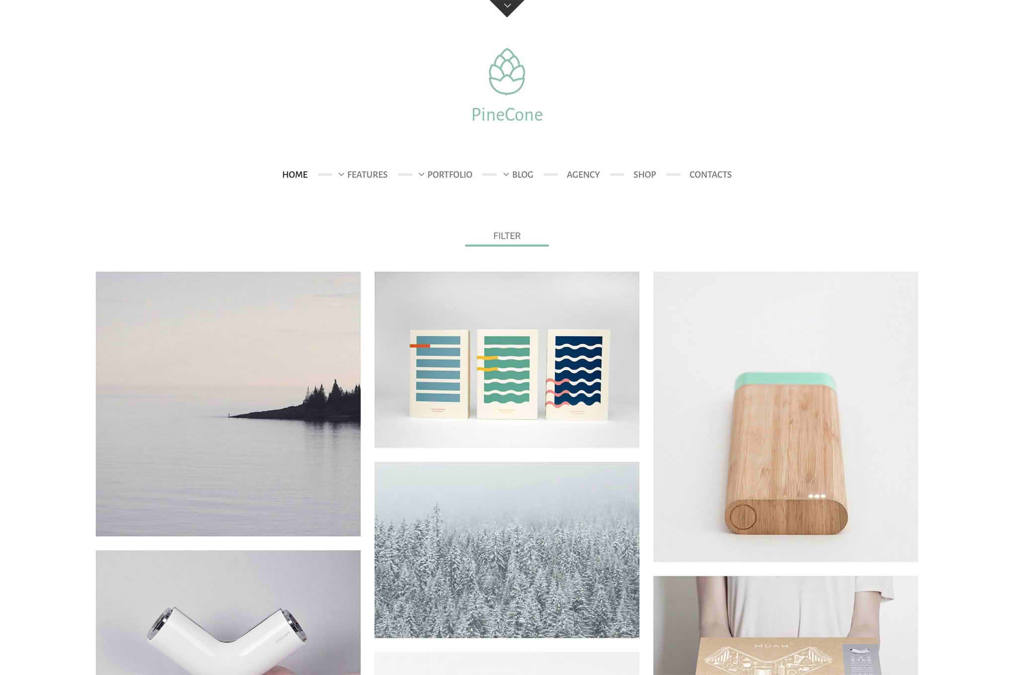 Download PineCone - Creative Portfolio and Blog for Agency GPL WordPress Plugin