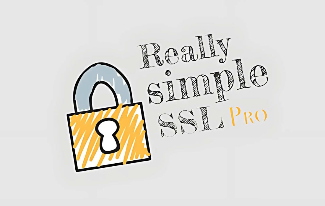 Download Really Simple Security Pro