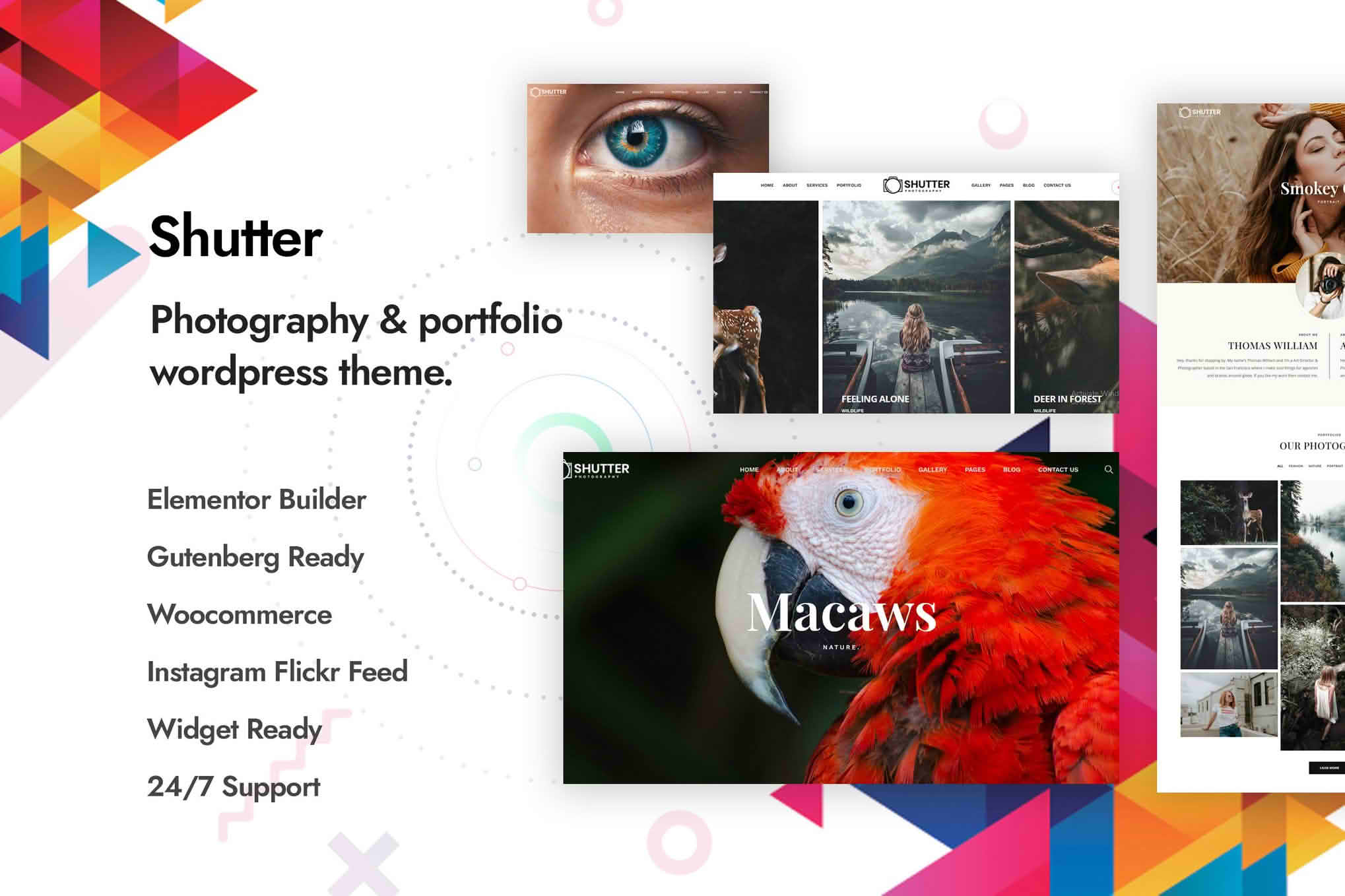Download Shutter - Photography WordPress Theme GPL WordPress Plugin