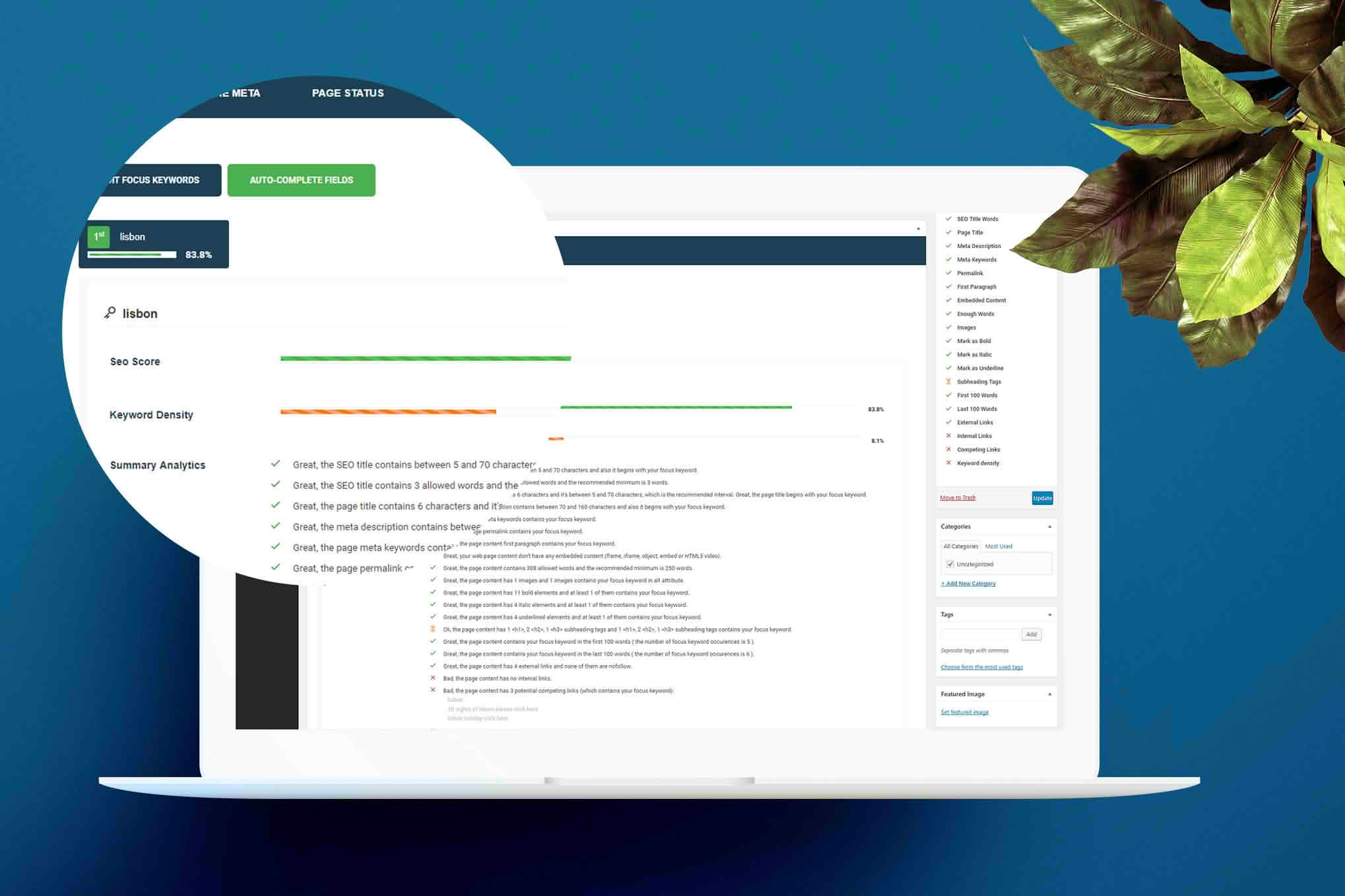 Download smart SEO - WordPress Plugin