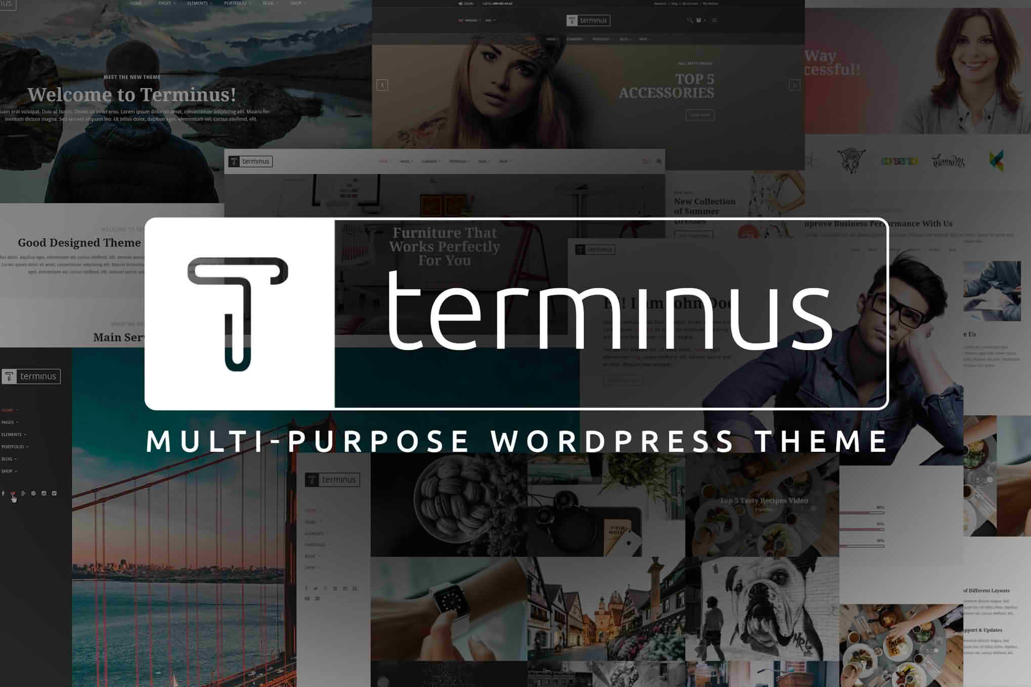 Download Terminus - Responsive Multi-Purpose WordPress Theme GPL WordPress Plugin