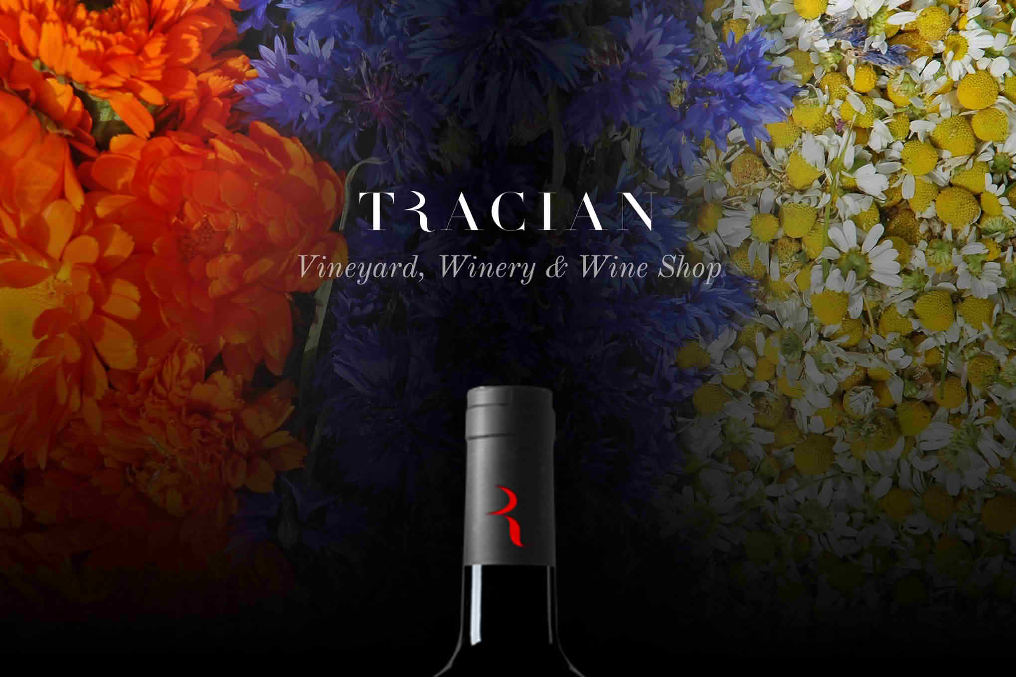 Download Tracian - Wine WordPress Theme GPL WordPress Plugin