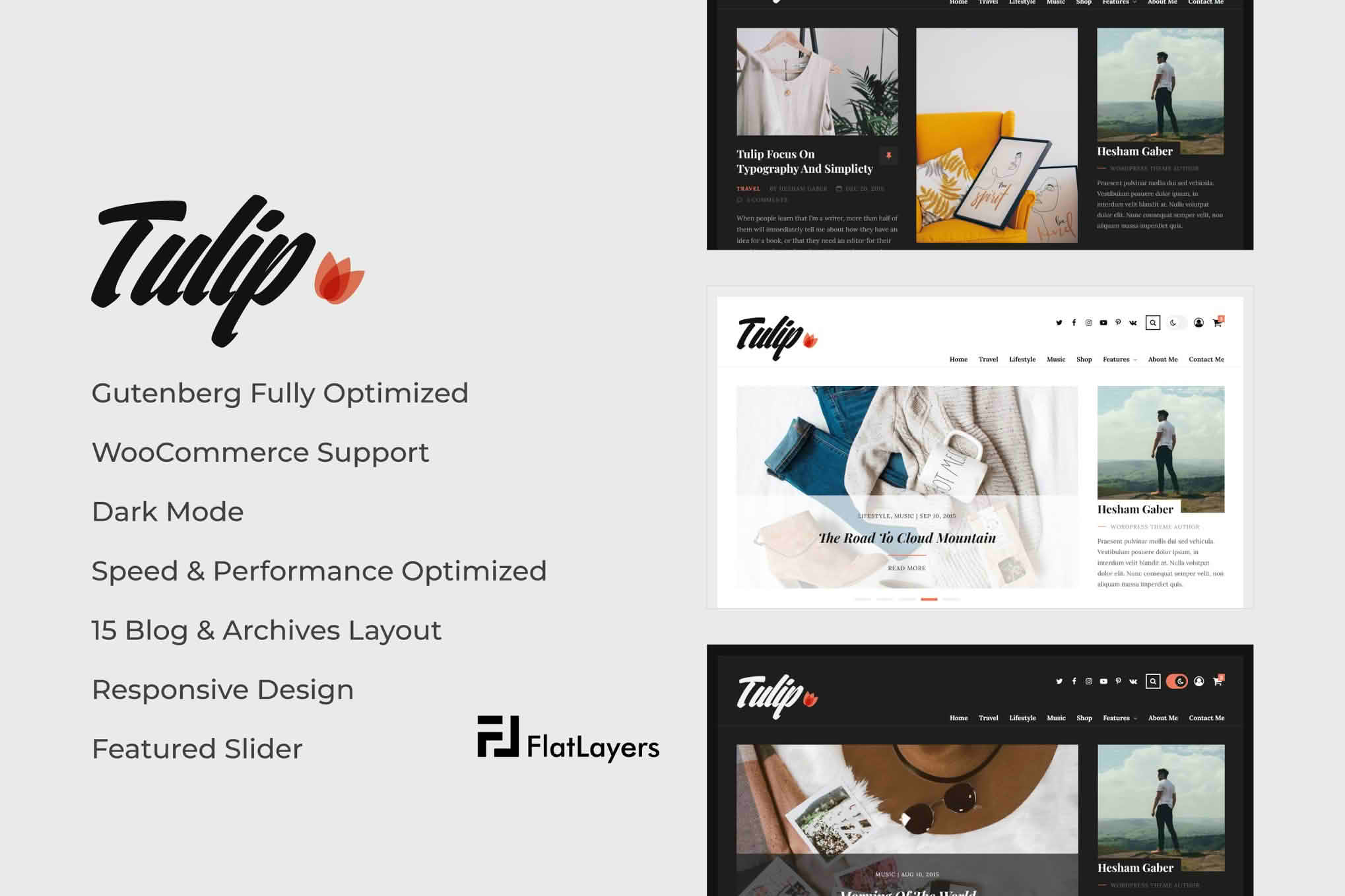 Download Tulip - Responsive WordPress Blog Theme GPL WordPress Plugin
