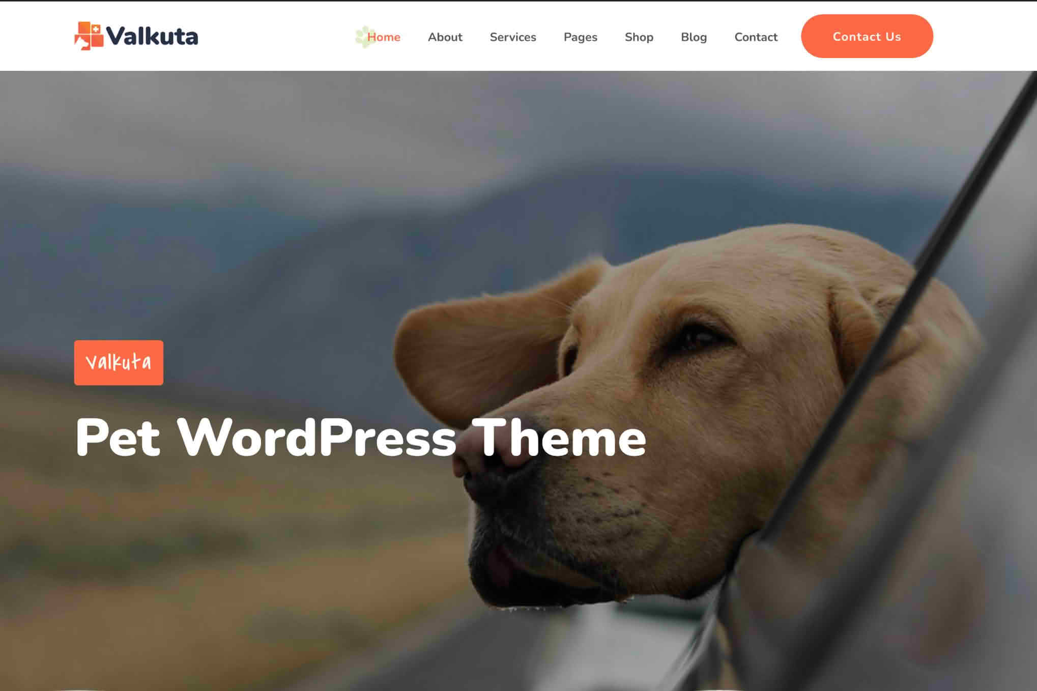 Download Valkuta - Pet WordPress Theme GPL WordPress Plugin