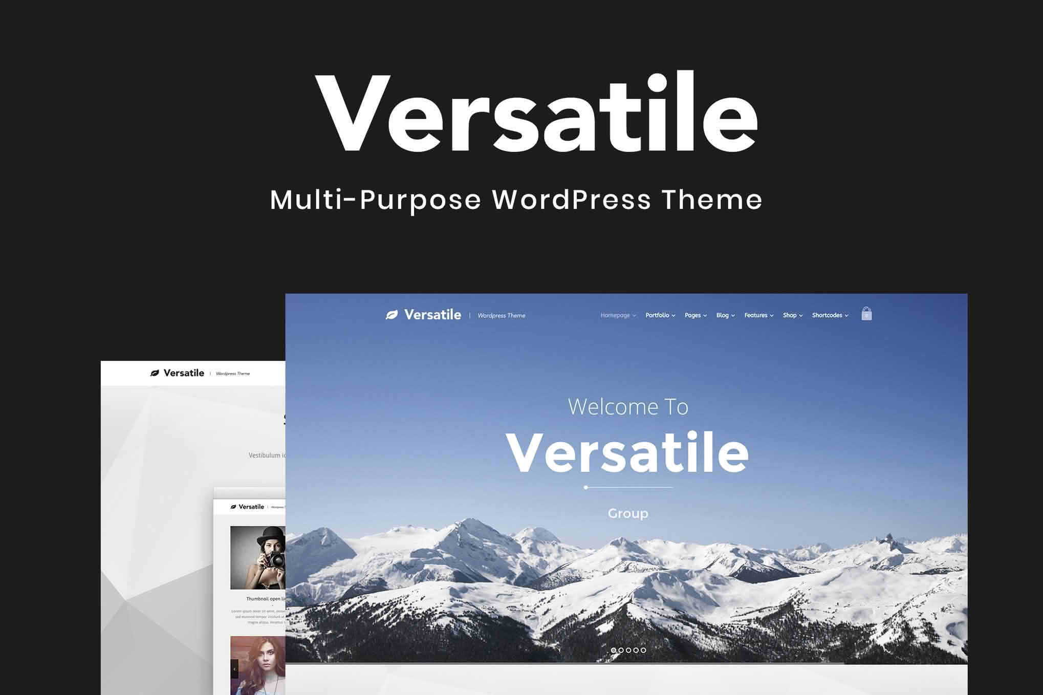 Download Versatile - Responsive Multi-Purpose WP Theme GPL WordPress Plugin