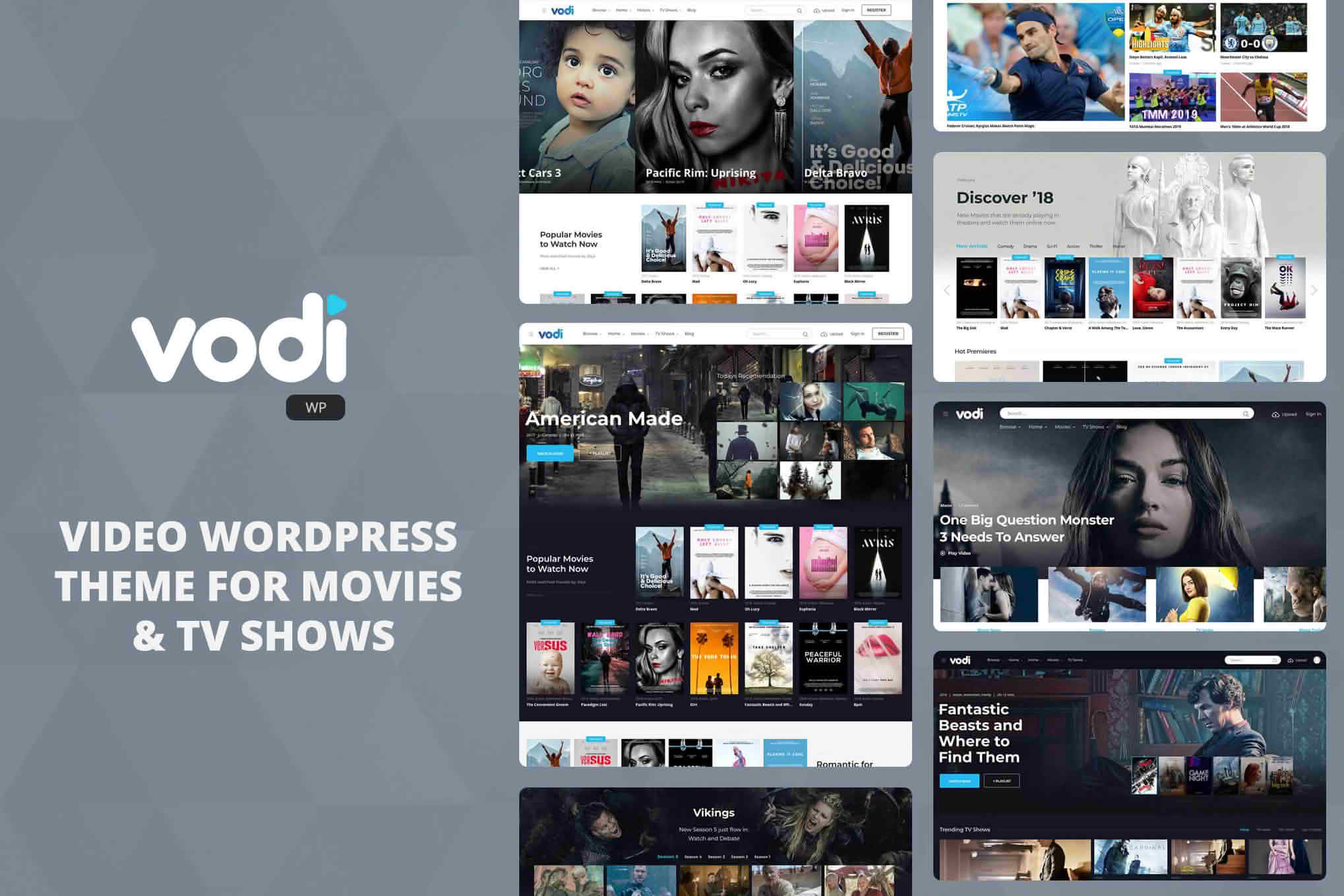 Download Vodi - Video WordPress Theme for Movies & TV Shows GPL WordPress Plugin