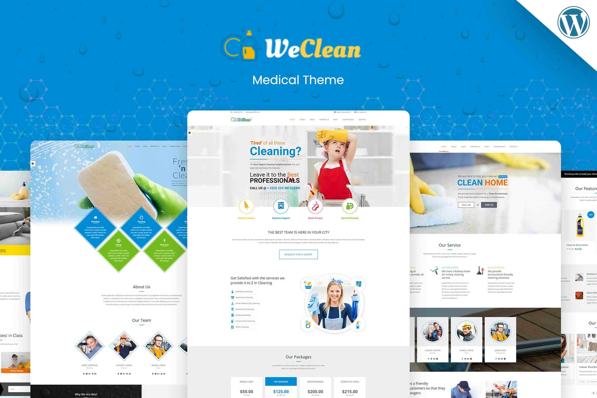 Download We Clean - Cleaning WordPress GPL WordPress Plugin