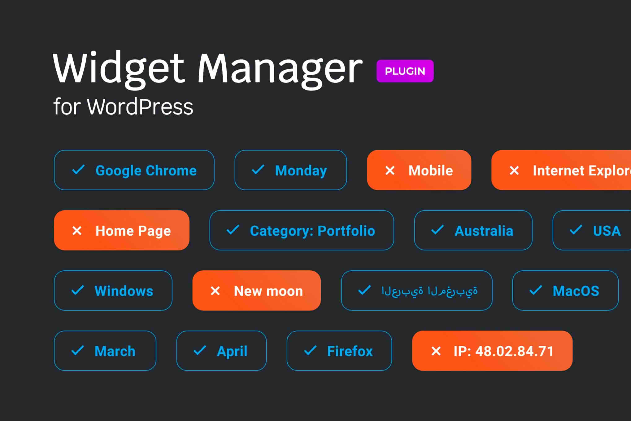 Download Widget manager for WordPress