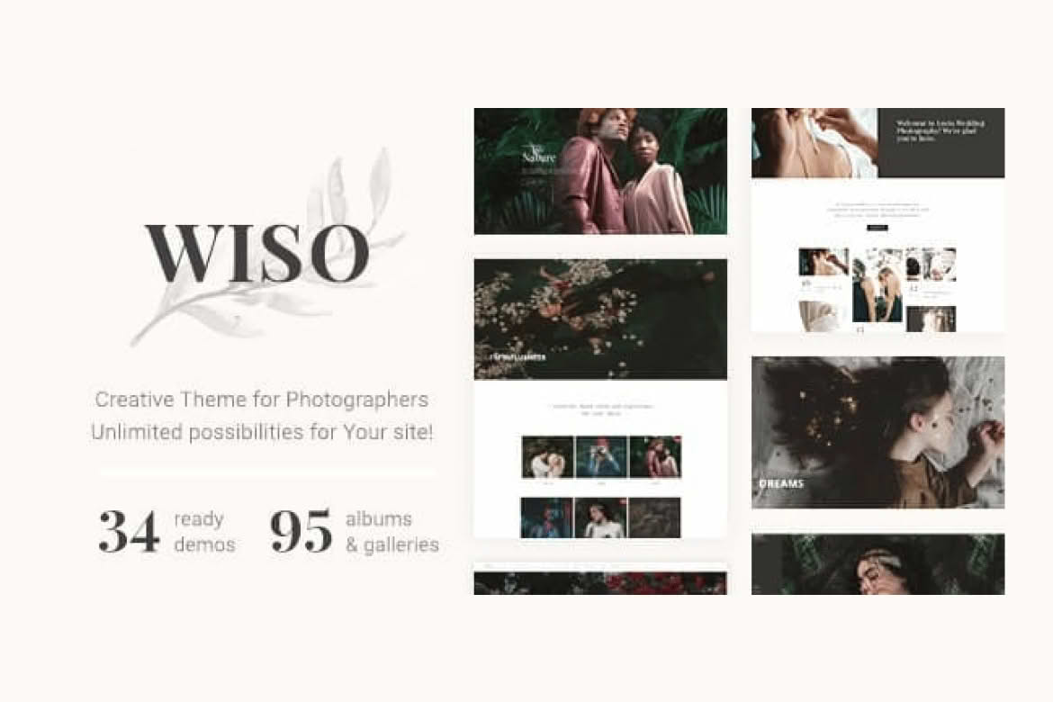 Download Wiso Photography GPL WordPress Plugin