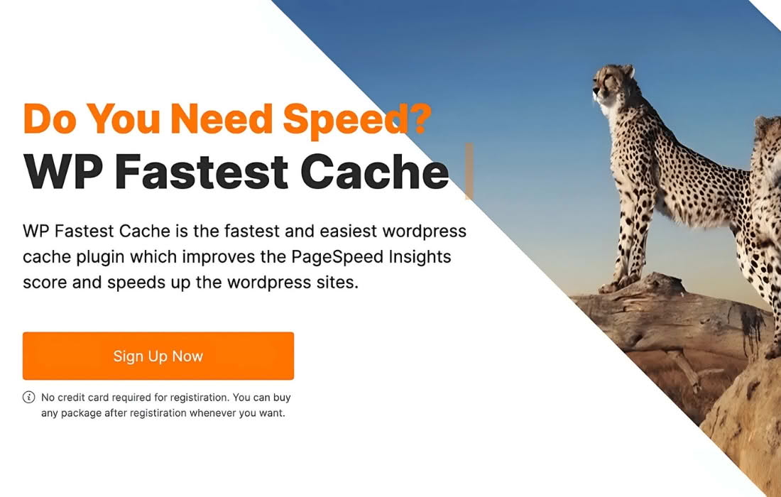 Download WP Fastest Cache Premium